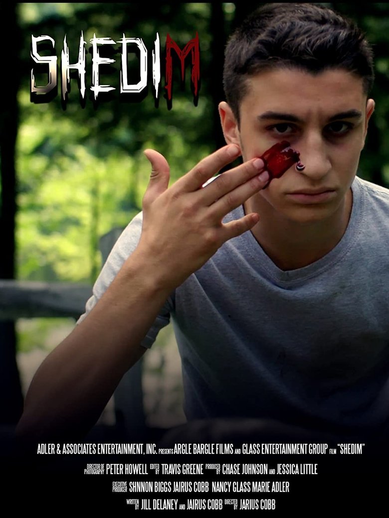 Poster of Shedim