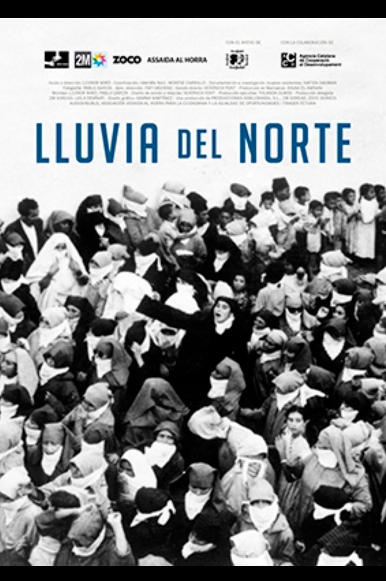 Poster of Northern Rain
