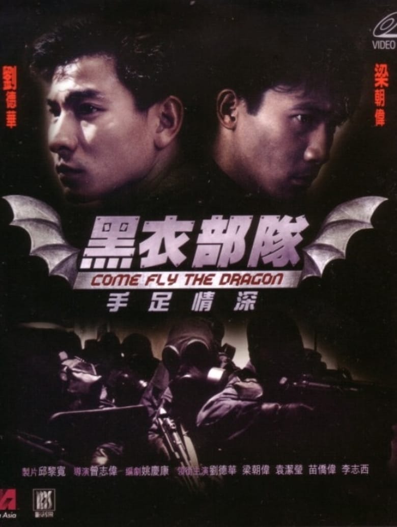 Poster of Come Fly the Dragon