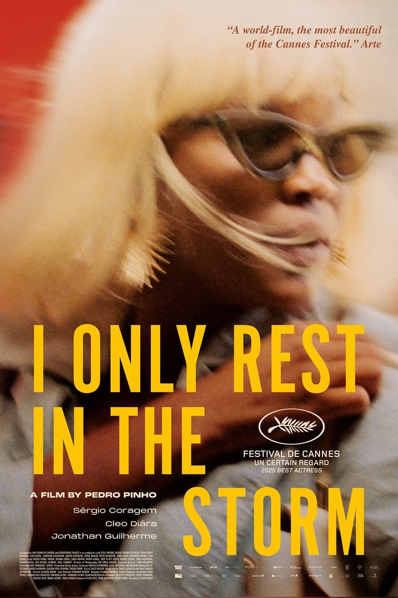 Poster of I Only Rest in the Storm