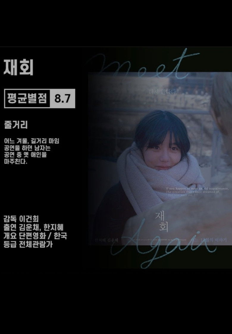 Poster of Meet Again