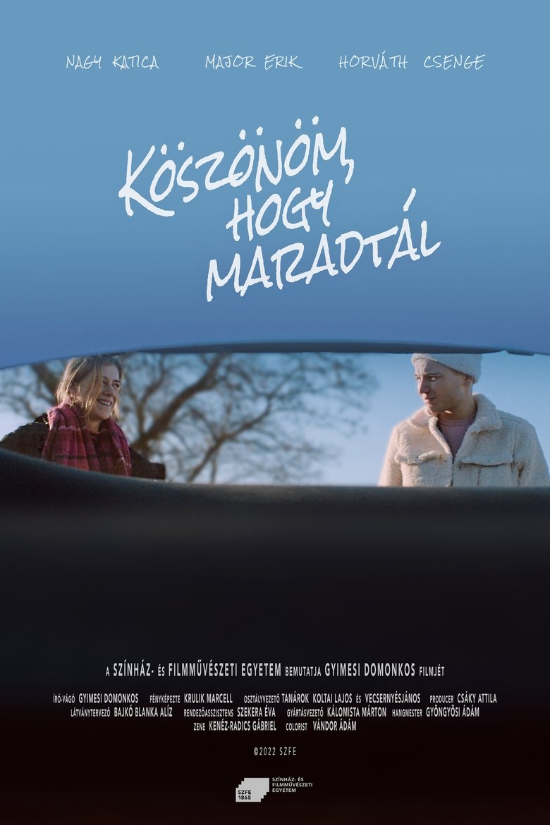 Poster of Thank You for Staying