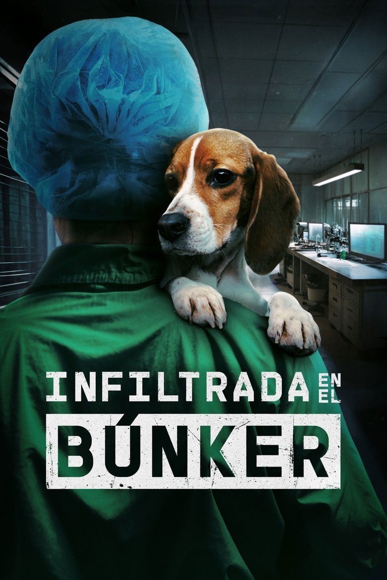 Poster of Undercover. Inside the Bunker