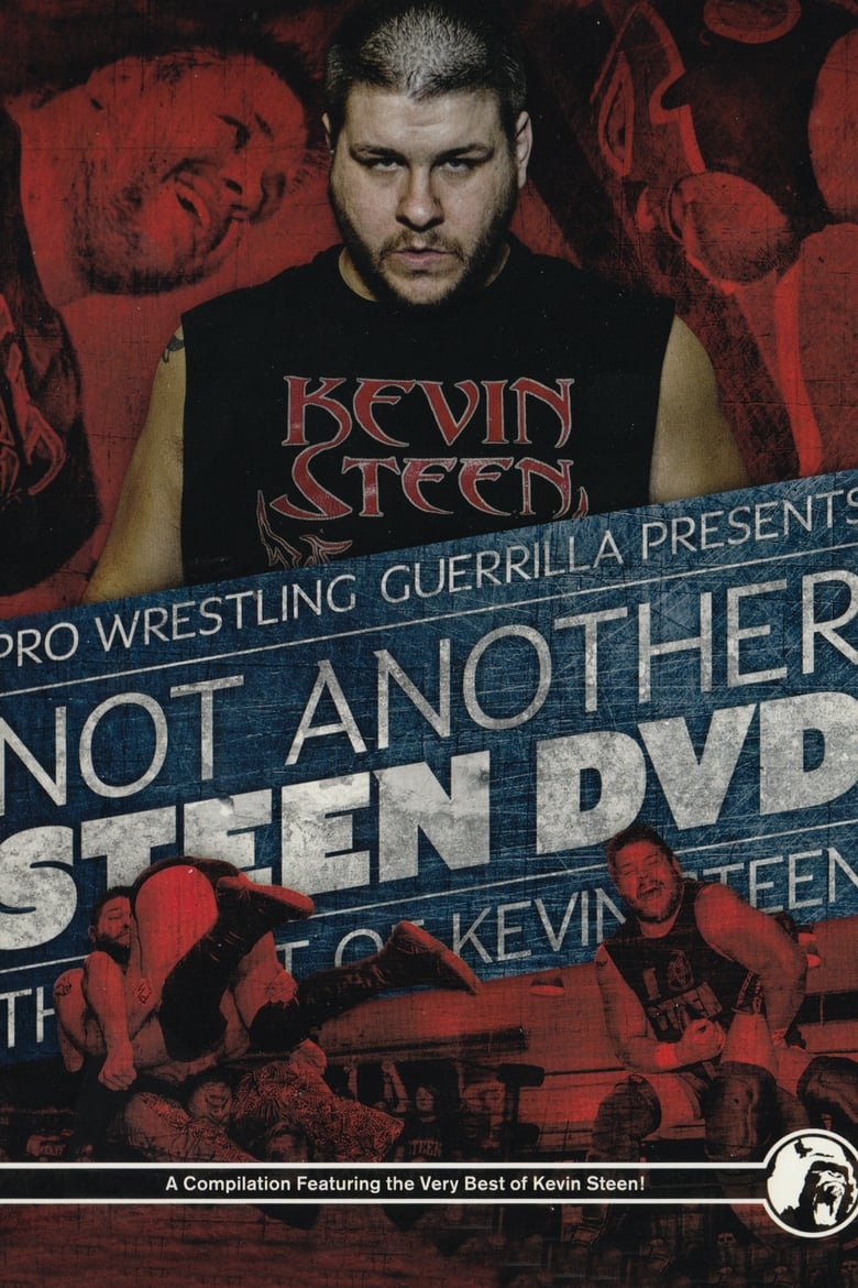Poster of Not Another Steen DVD