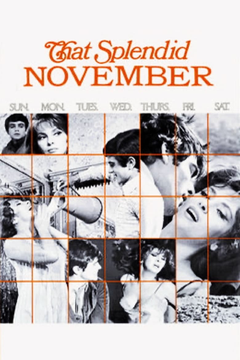 Poster of That Splendid November