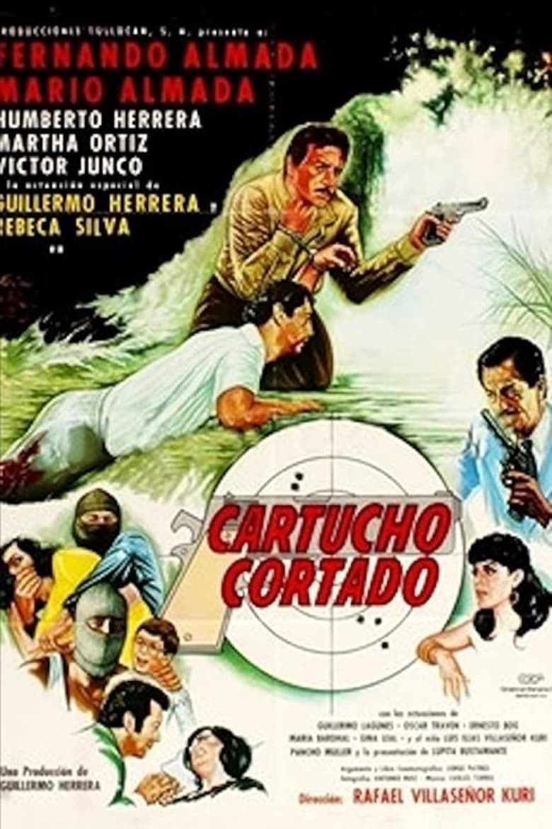 Poster of Cartucho cortado
