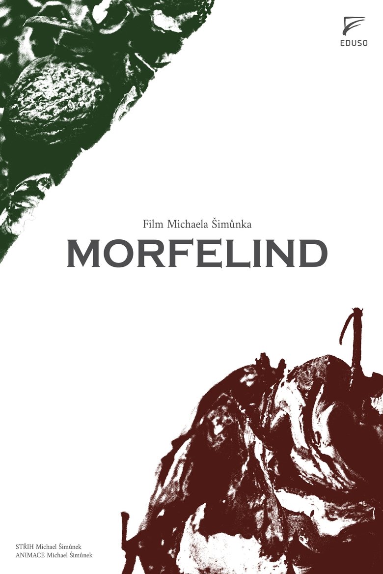Poster of MORFELIND
