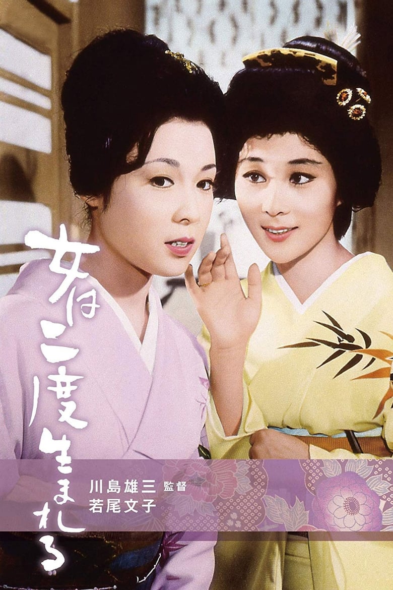 Poster of A Geisha's Diary