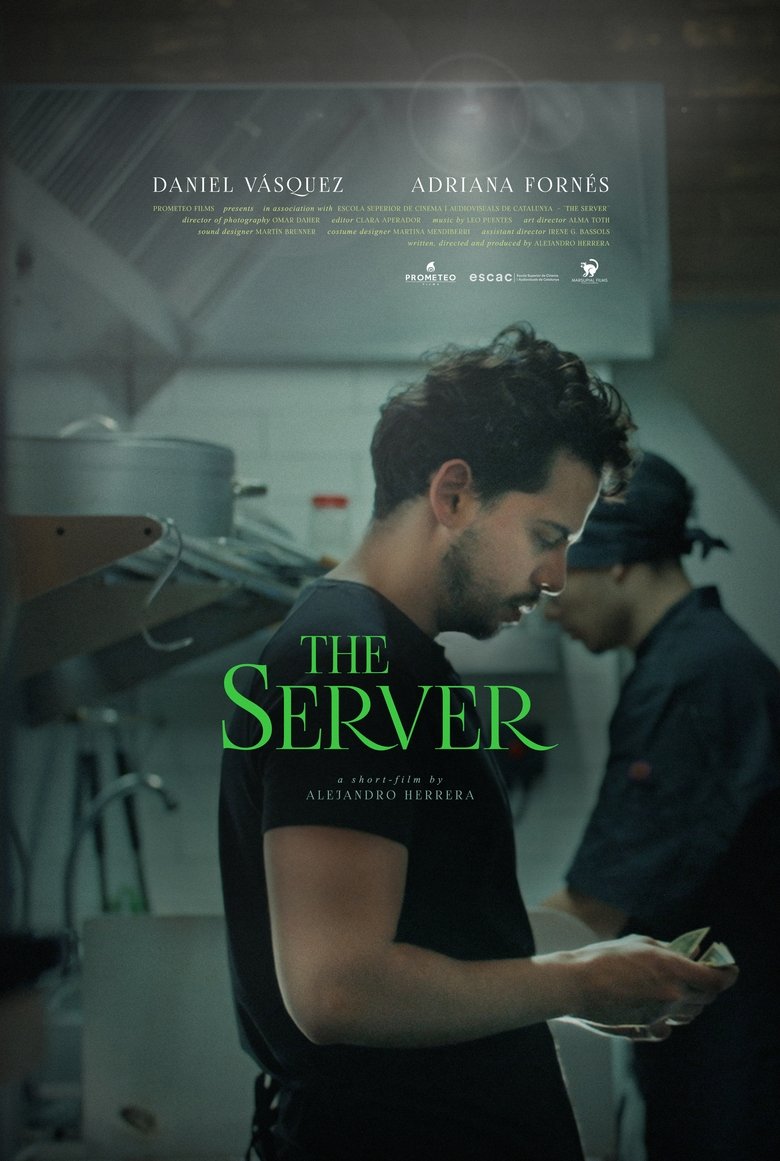 Poster of The Server