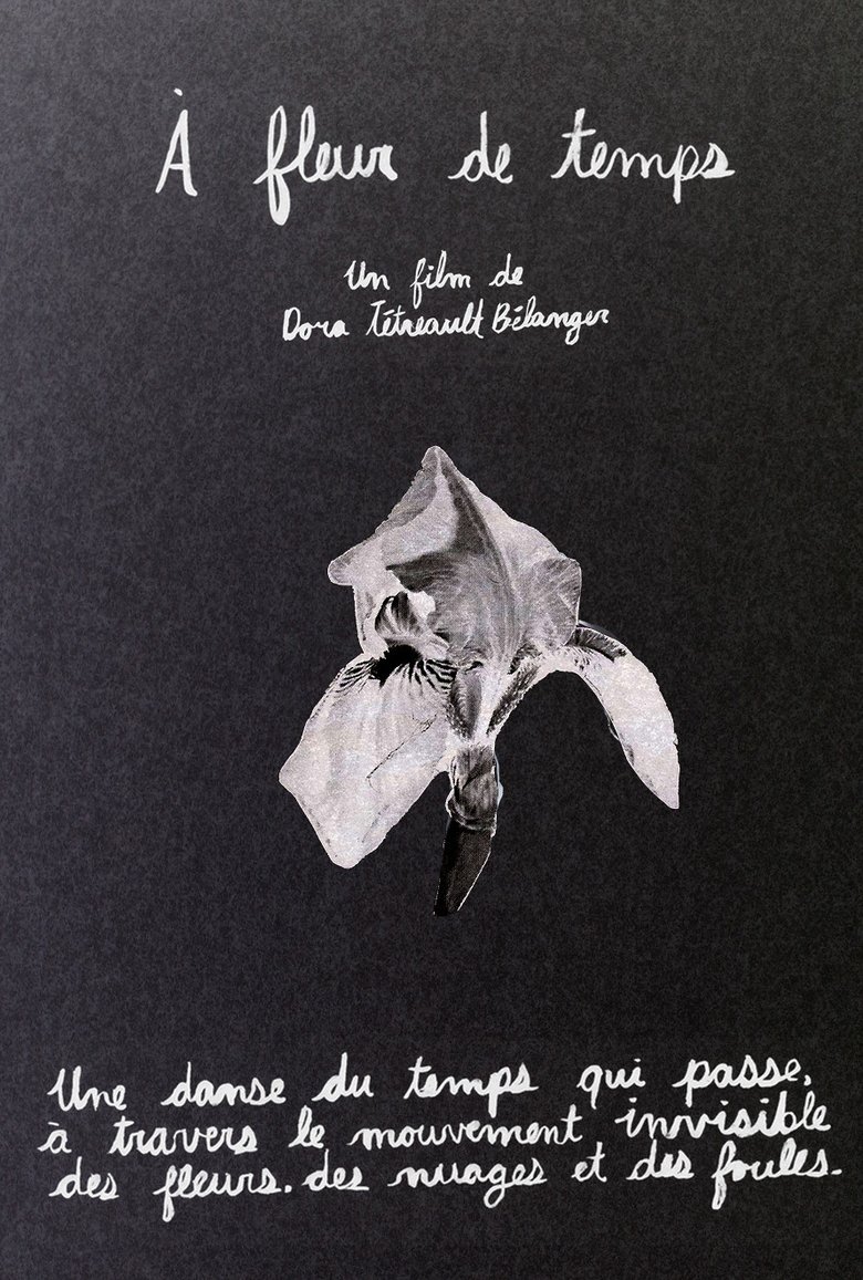 Poster of À fleur de temps