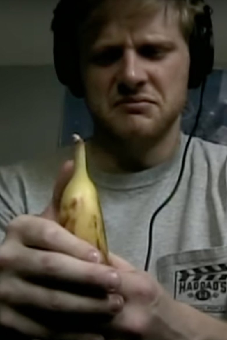 Poster of matt burglar