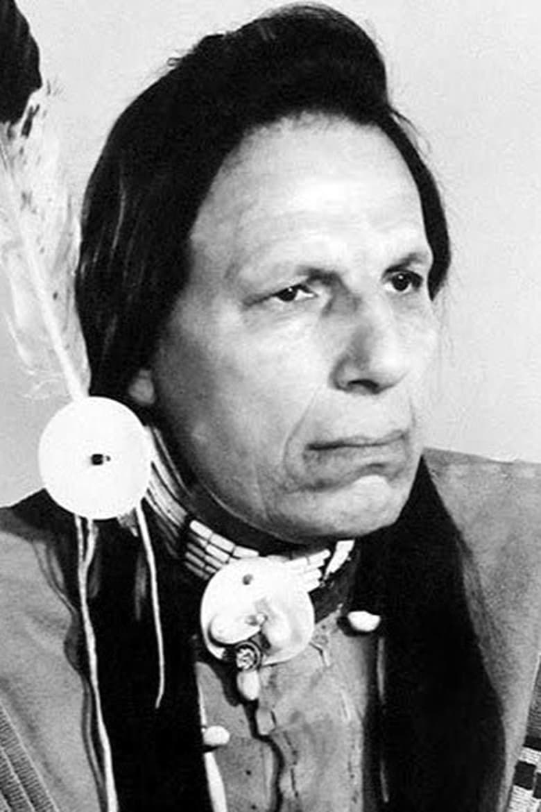 Portrait of Iron Eyes Cody