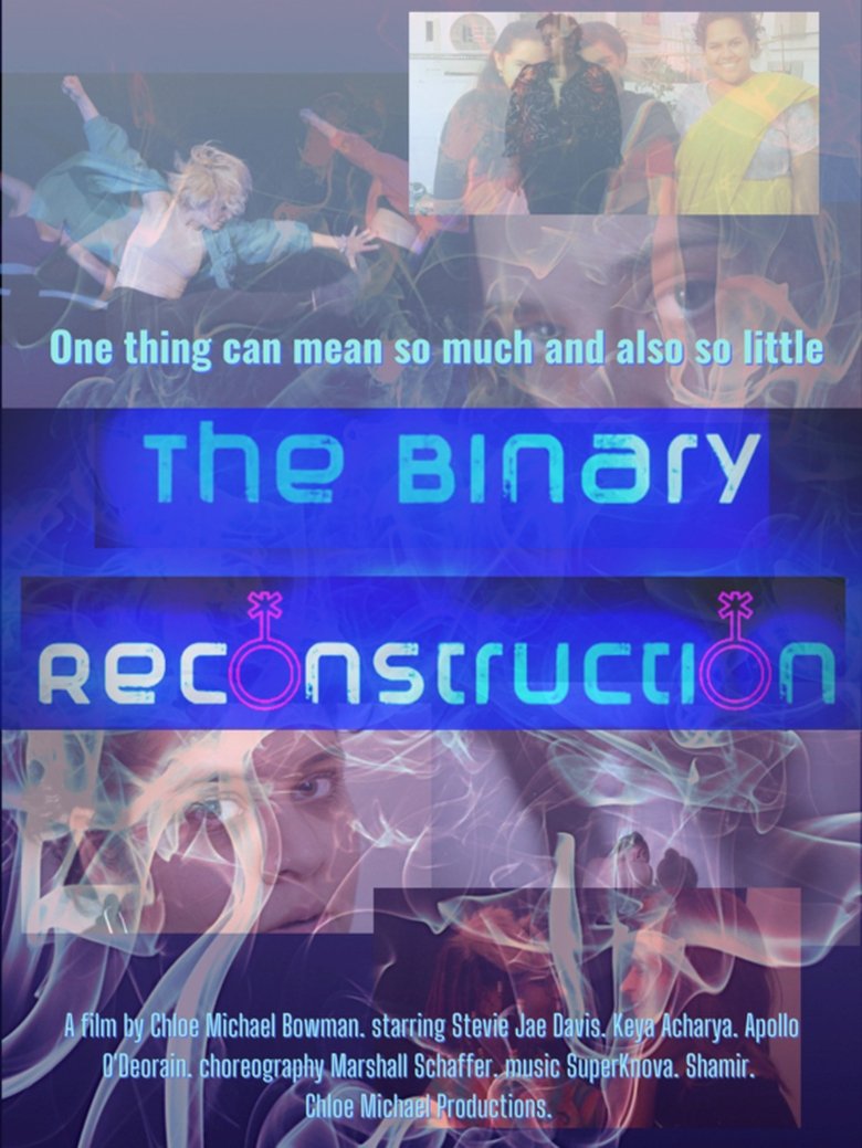 Poster of The Binary Reconstruction