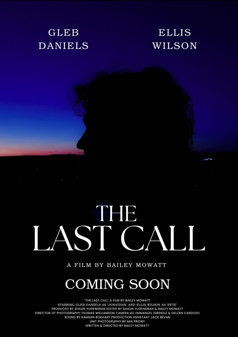 Poster of The Last Call