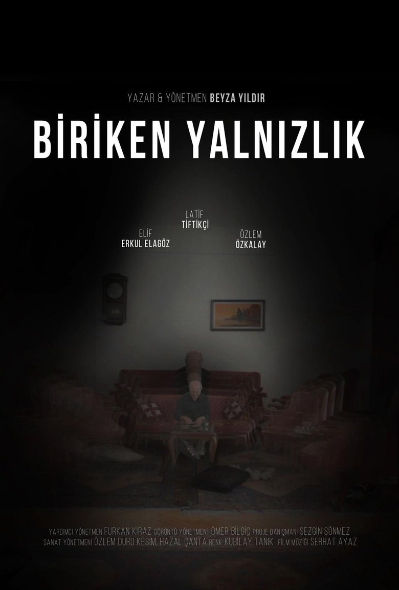 Poster of Biriken Yalnızlık