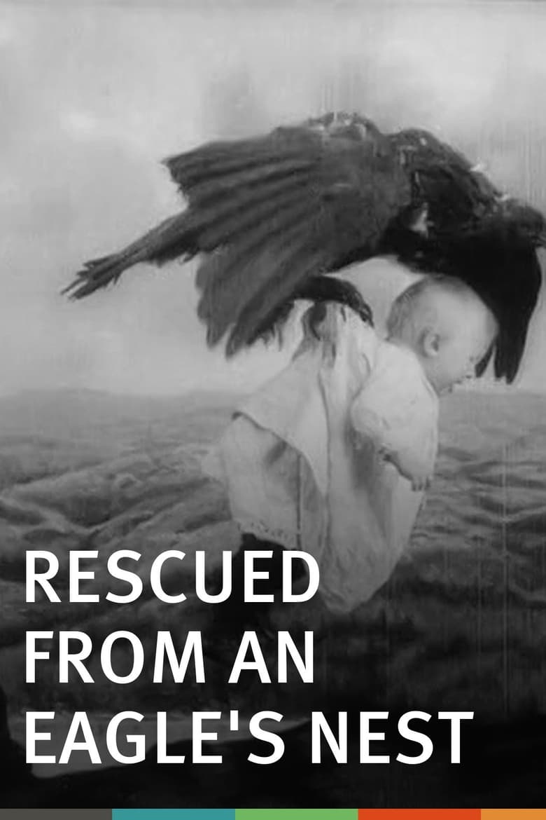 Poster of Rescued from an Eagle's Nest