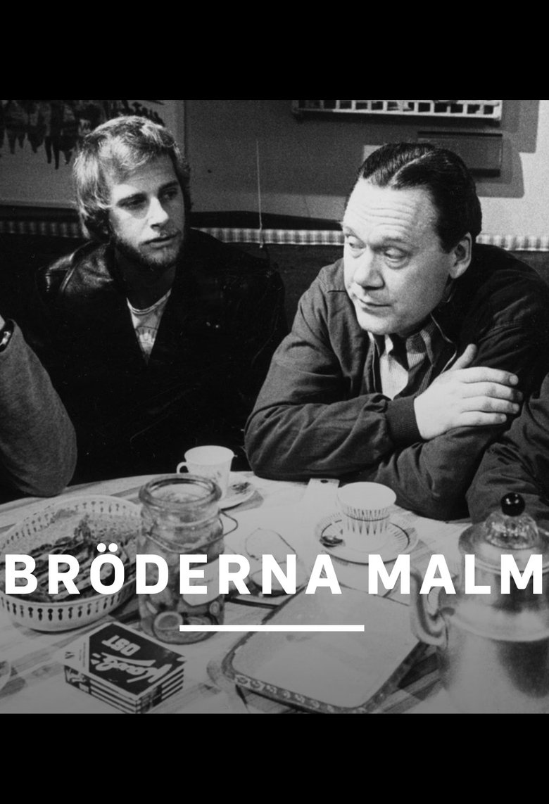 Poster of Bröderna Malm