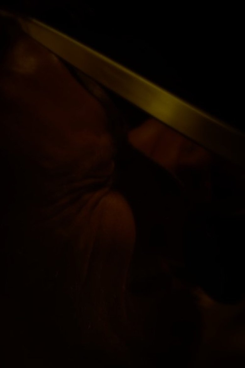 Poster of Is Someone There?