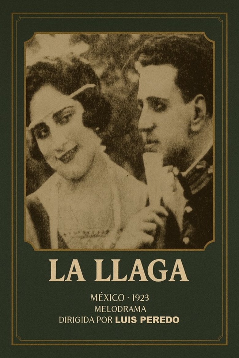 Poster of La llaga