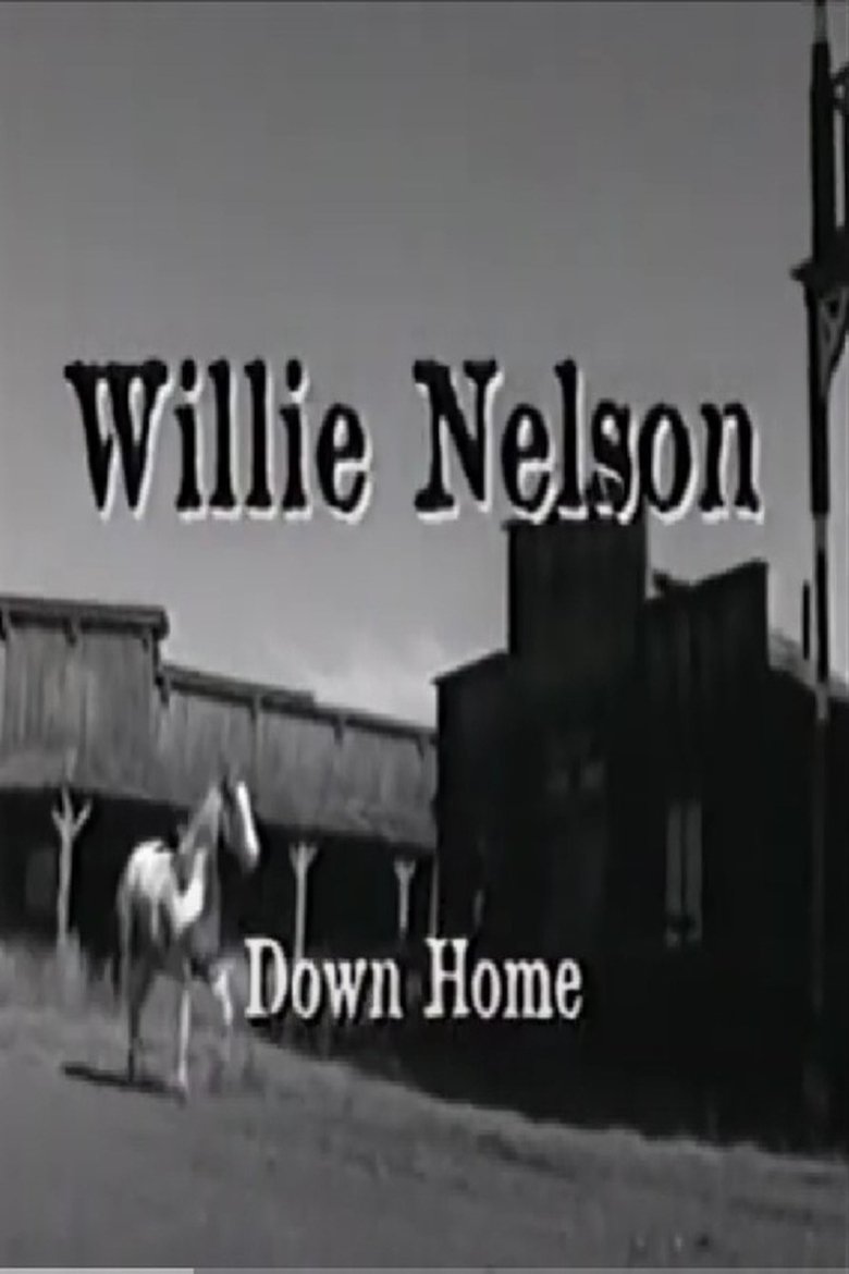 Poster of Willie Nelson: Down Home