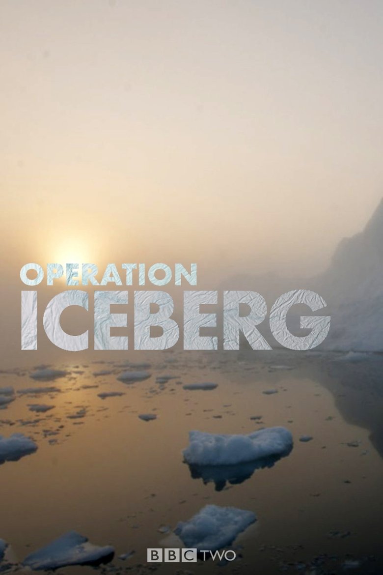 Poster of Operation Iceberg