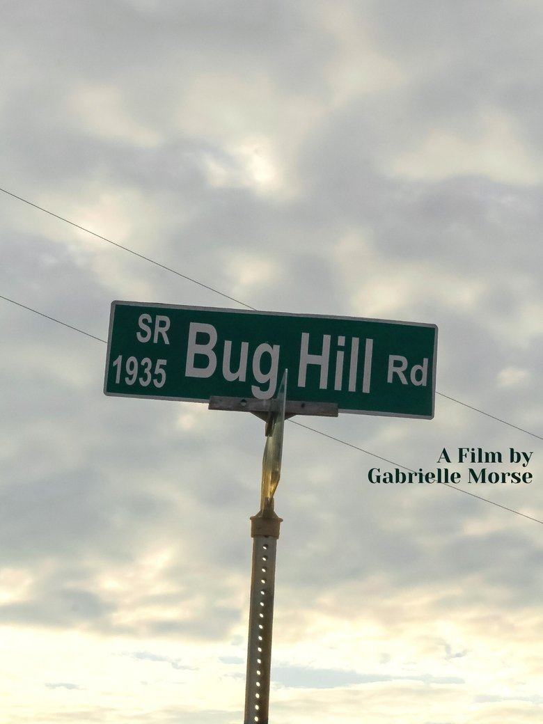 Poster of Bug Hill