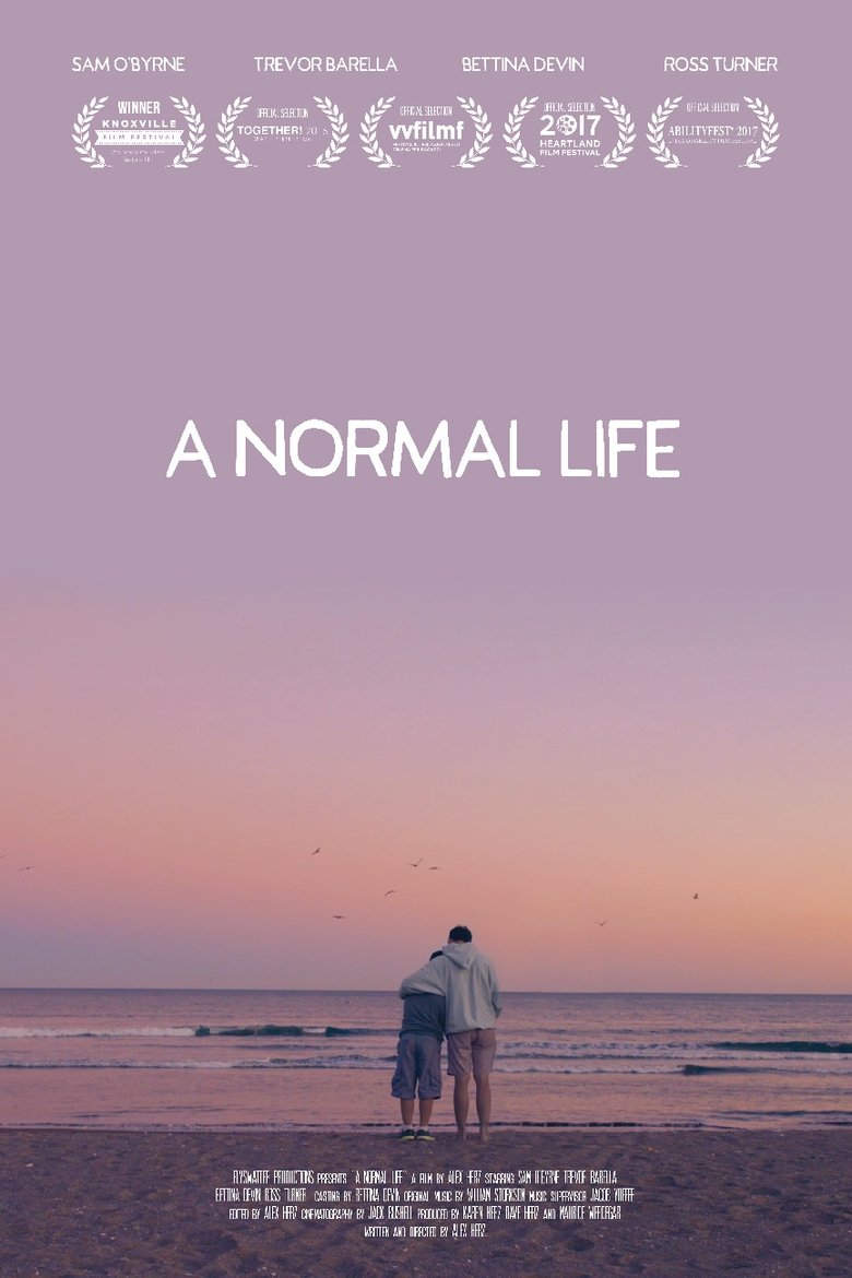 Poster of A Normal Life