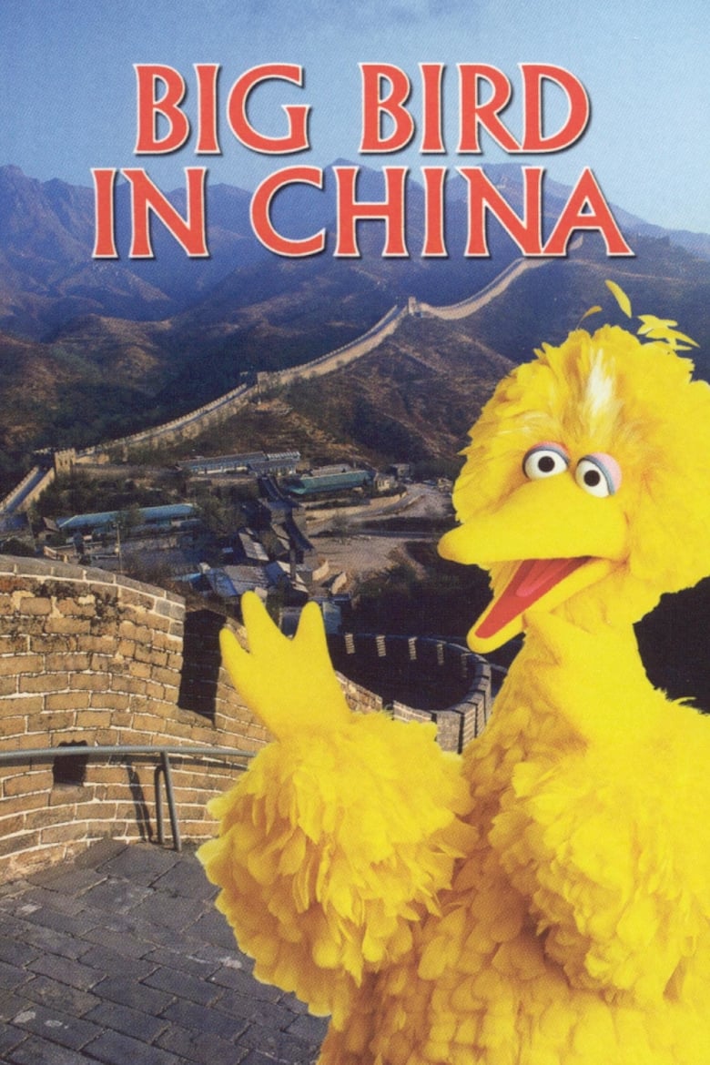 Poster of Big Bird in China