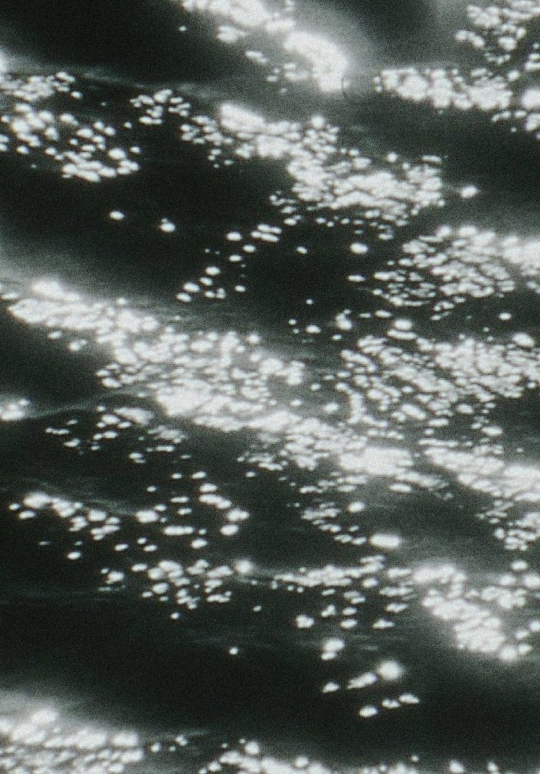 Poster of Kristallnacht