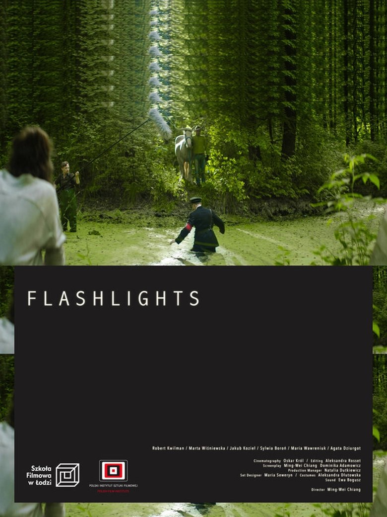 Poster of Flashlights