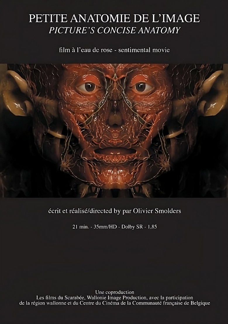Poster of Petite anatomie de l'image