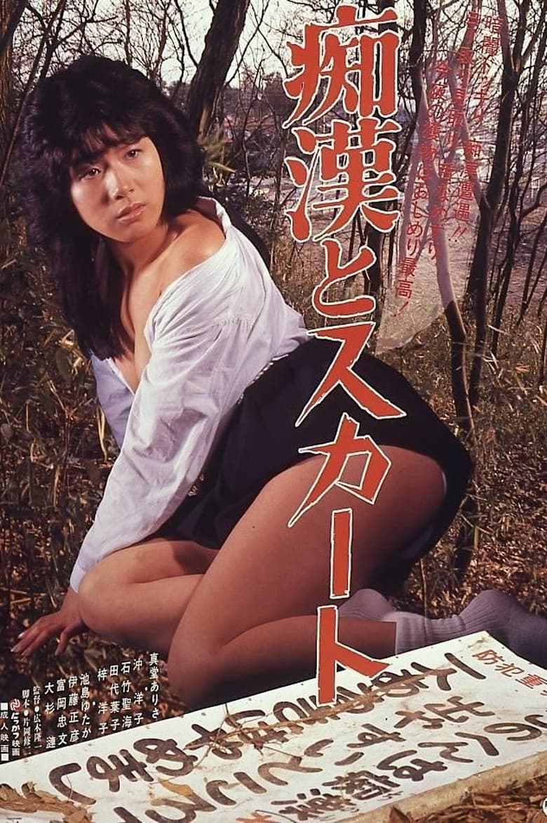 Poster of Chikan to sukāto