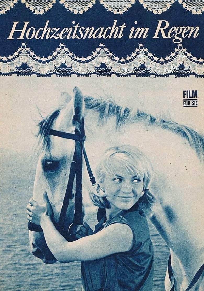 Poster of Wedding Night In The Drizzle