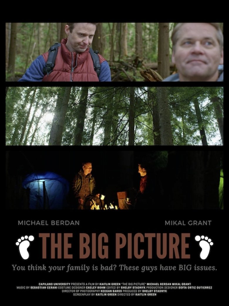 Poster of The Big Picture