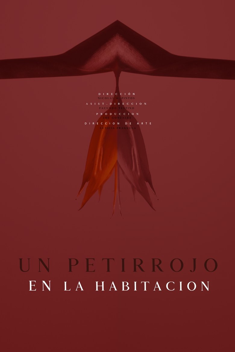 Poster of A robin in the room