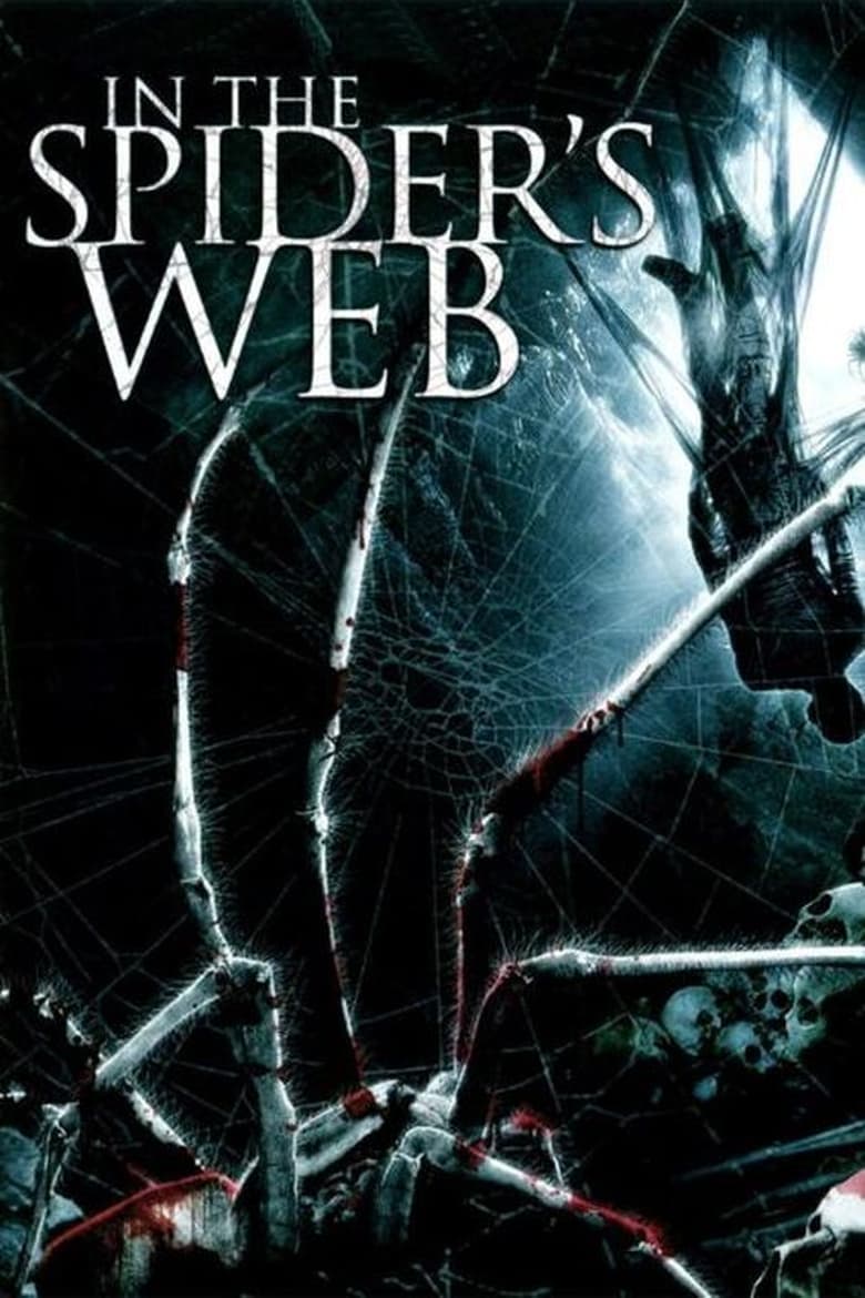 Poster of In the Spider's Web