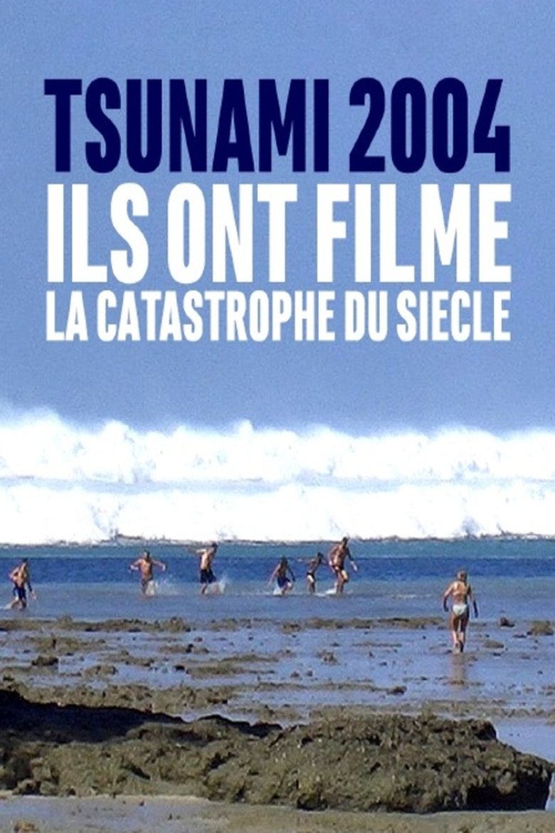 Poster of Tsunami 2004 : ils ont filmé la catastrophe du siècle