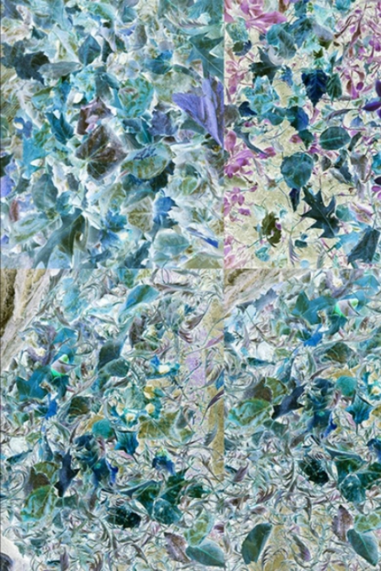 Poster of The Backyard