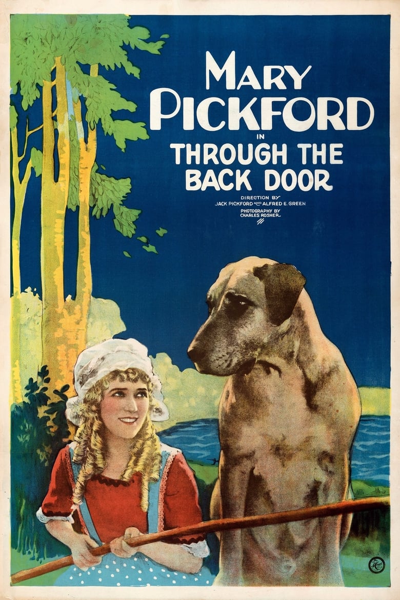 Poster of Through The Back Door