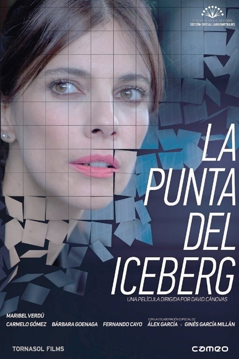 Poster of The Tip of the Iceberg