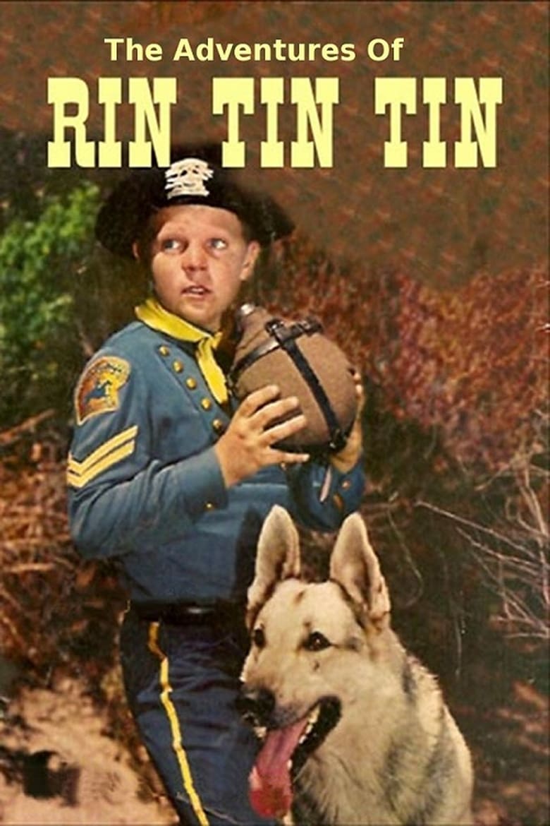 Poster of The Adventures of Rin Tin Tin