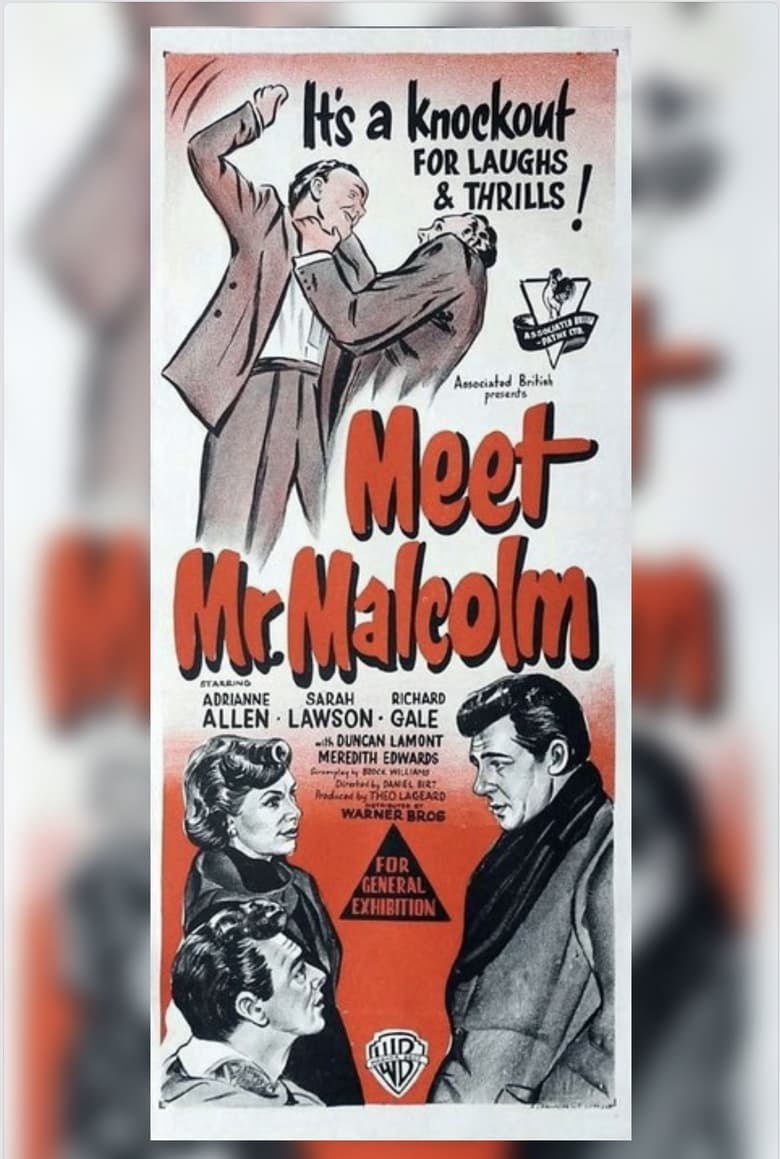 Poster of Meet Mr. Malcolm