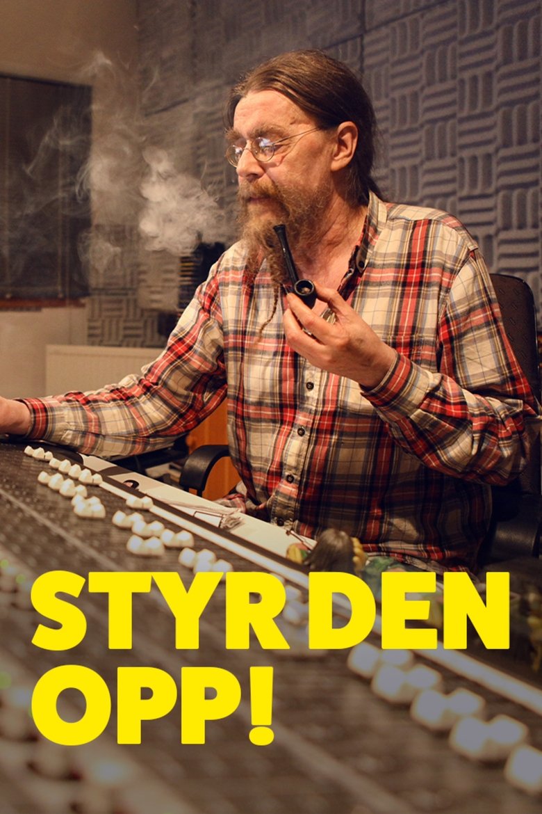 Poster of Styr den opp!