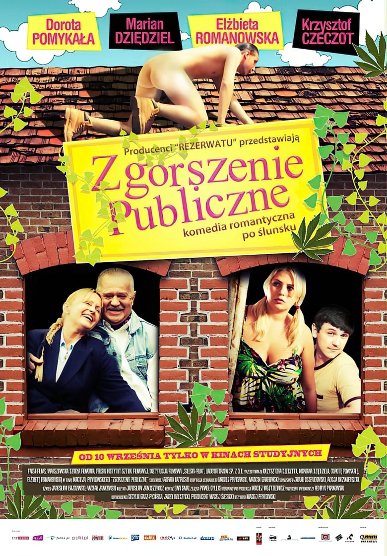 Poster of Zgorszenie publiczne