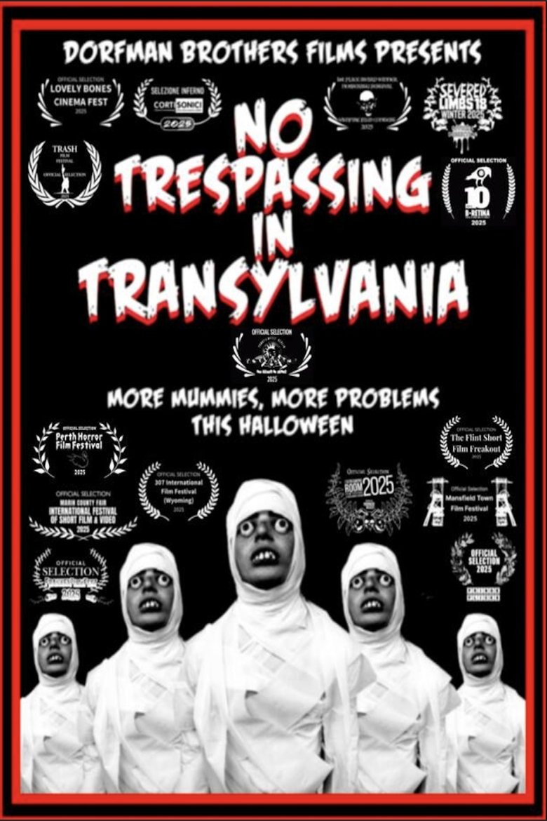 Poster of No Trespassing In Transylvania
