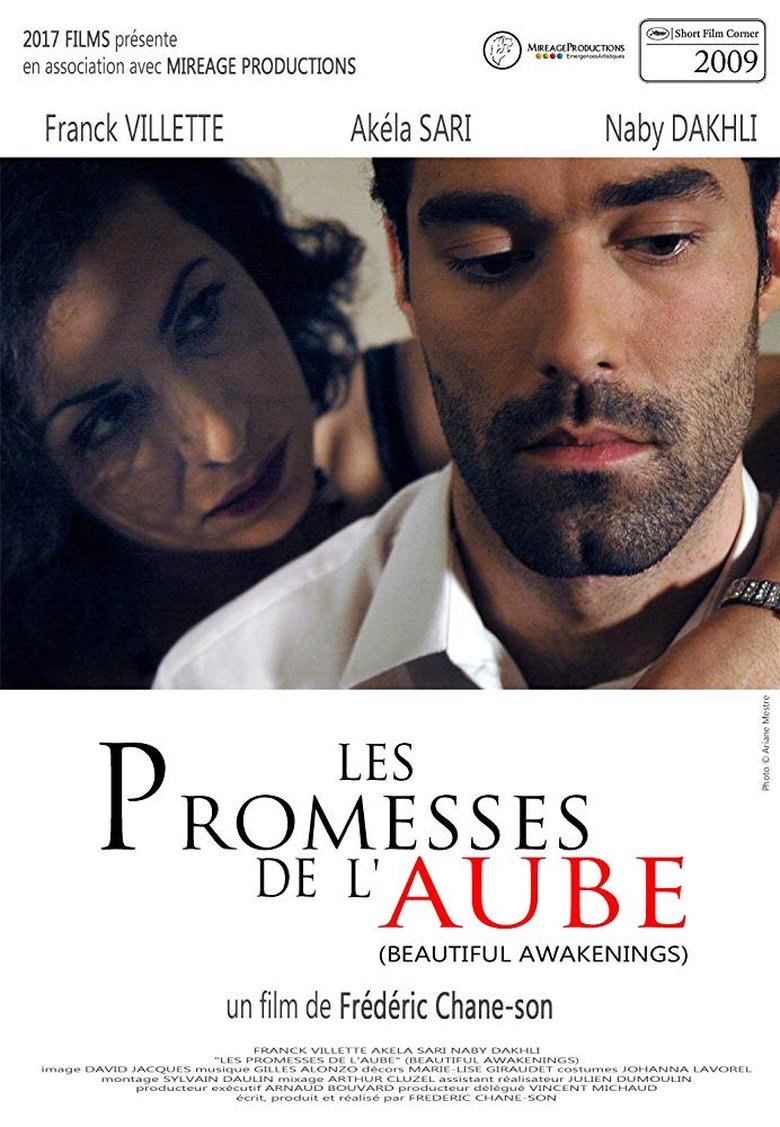 Poster of Beautiful Awakenings