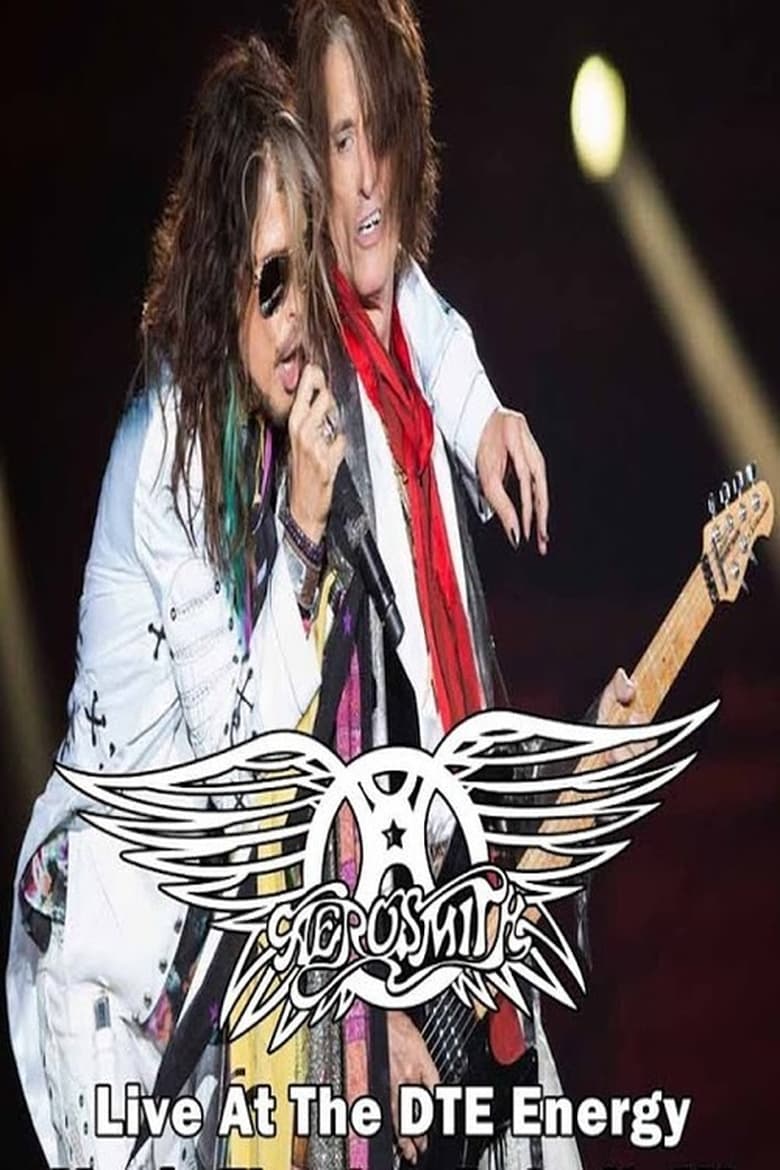 Poster of Aerosmith Live In Detroit Proshot