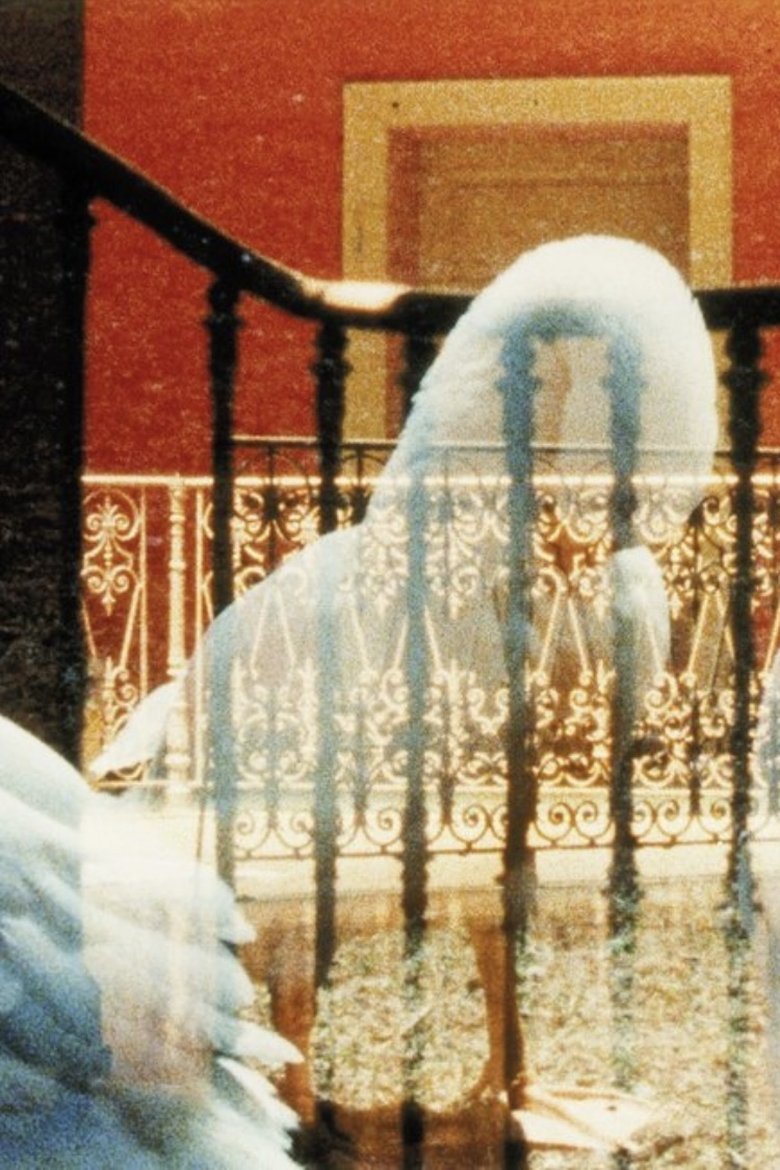 Poster of Portrait mariage