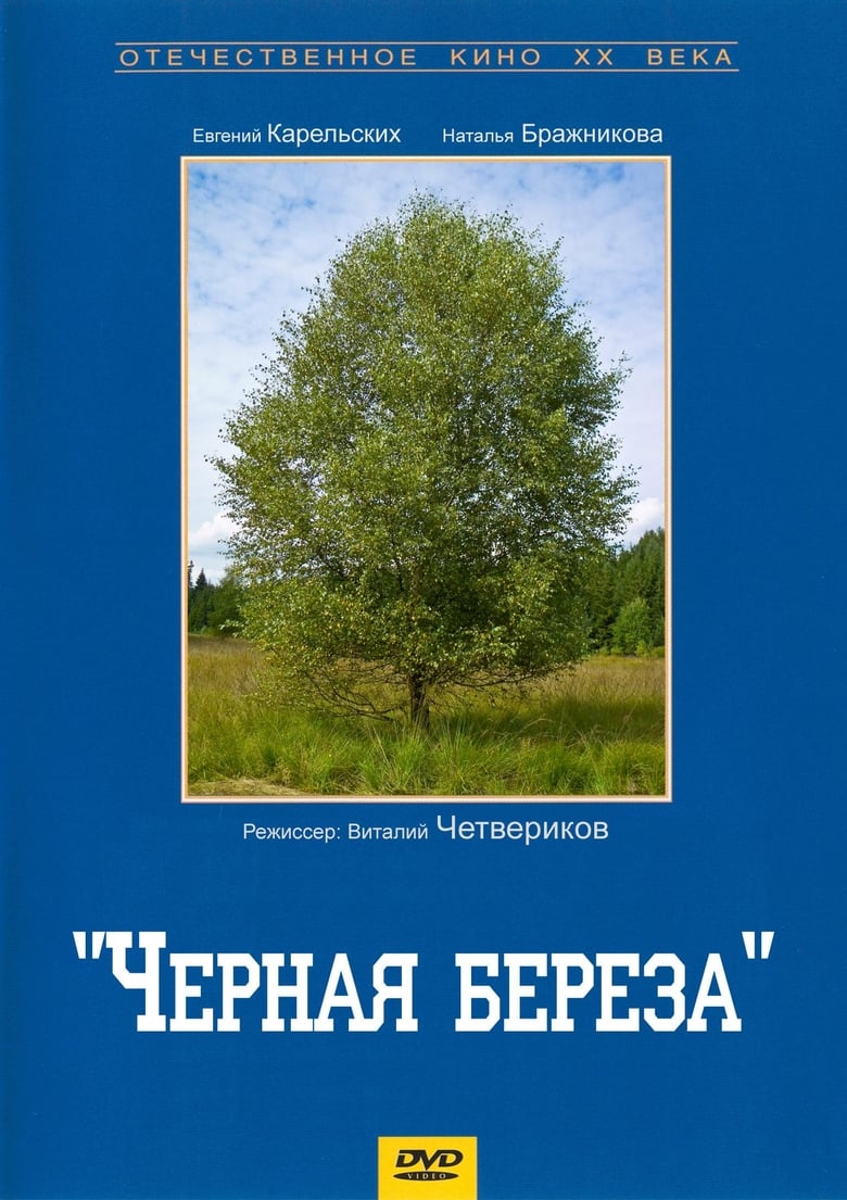 Poster of Чёрная берёза