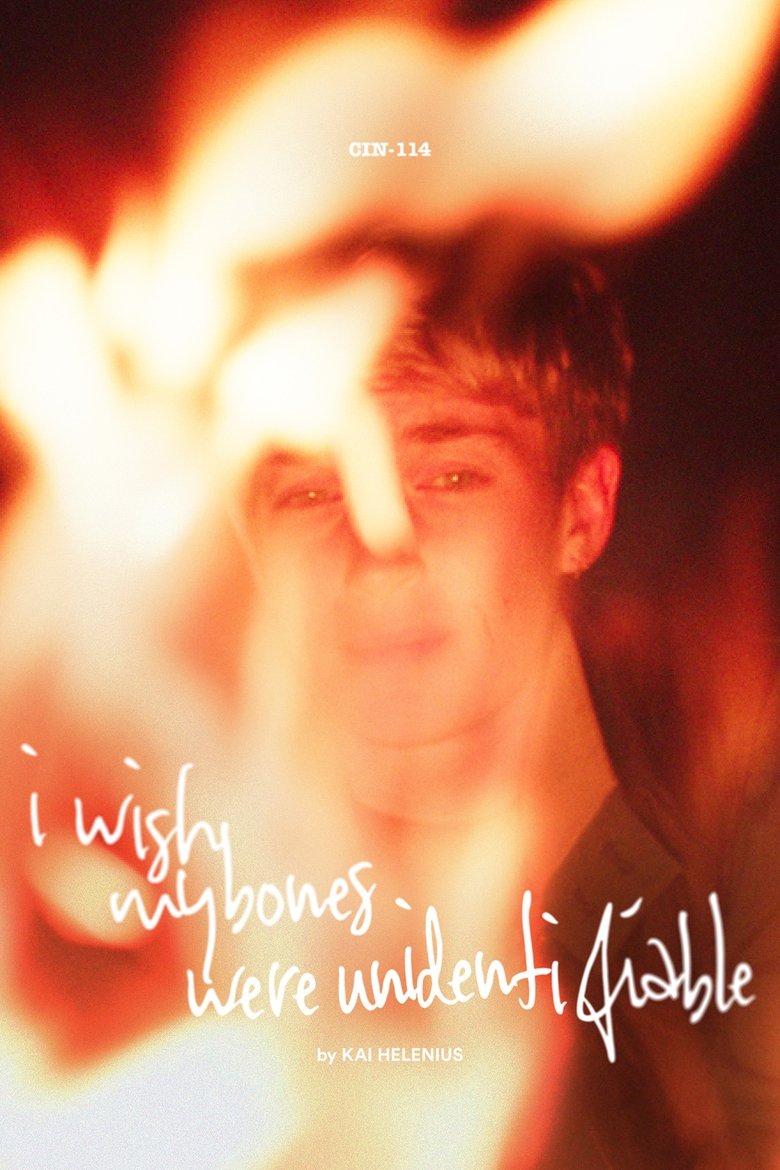 Poster of I Wish My Bones Were Unidentifiable